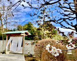 軽い昼食を・・...