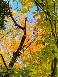 近くのカフェに...