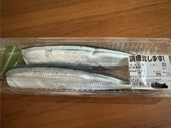 今年はサンマが...