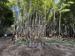 若竹の杜...