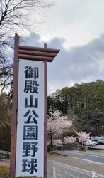 平日午後訪問。...