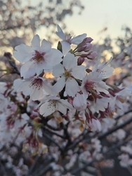 午前５時４５分...