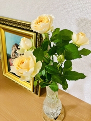 ここ数ヶ月、月...