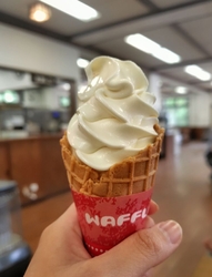 南ヶ丘牧場へ行...