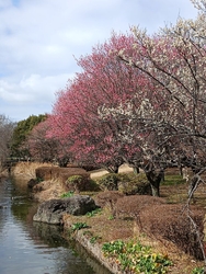 今日は、2月1...