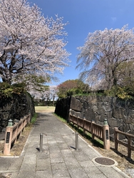 公園の南側に駐...