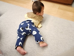 ２ヶ月ぶりに骨...