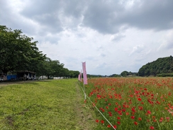 子ども達が小さ...