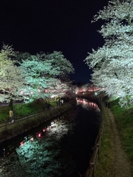夜はライトアッ...