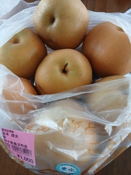 今日は、９月１...