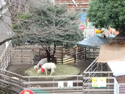 あちこち立ち寄...