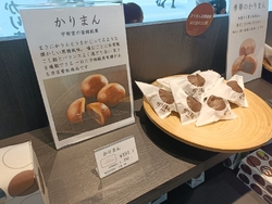宇都宮市街を散...