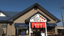 期間限定のスイ...