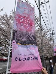 かしの森公園に...