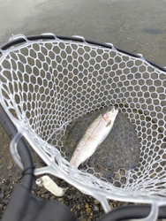 初釣りで伺いま...