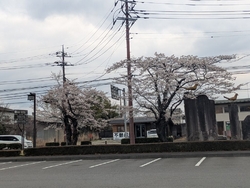 休憩に寄りまし...