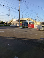 株式会社シンエ...