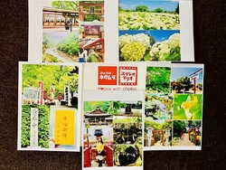 5月下旬の京都...
