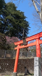 【塙田八幡宮】...