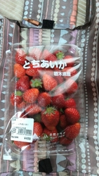 自宅からお弁当...