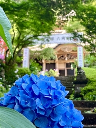 この日も30℃...