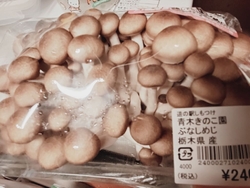 小山市に用事が...