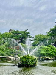 今日は、神社参...