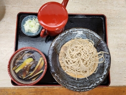 今日もさの丸ペ...