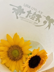 今年こそは【ひ...