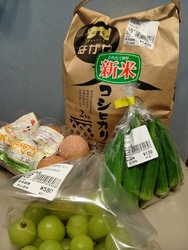 いろんな種類の...
