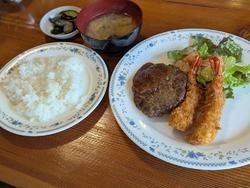 ランチのお邪魔...