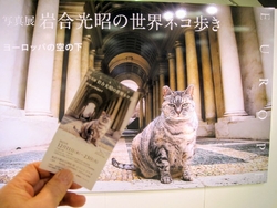 開催中の写真展...