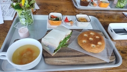 ランチ時間に蜂...