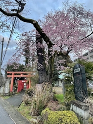 今年も大田原一...