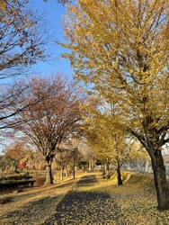那珂川河畔公園...