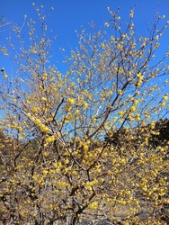 今日は、1月2...