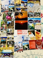 今月撮った写真...