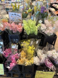 フラワーマーケ...