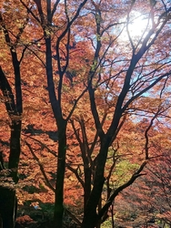 今日は、11月...