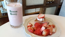 チーズケーキ大...