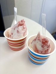 ジェラートを食...