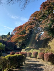 佐久山の御殿山...