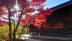 とても楽しみに...