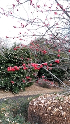 この時期に来た...