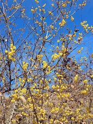 今日は、12月...