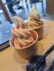 鹿沼市内に来て...