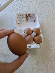 鬼怒川の知り合...