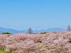 メイン駐車場か...