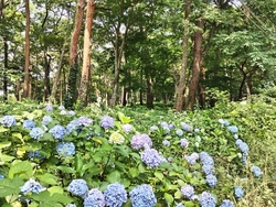 用事があって、...