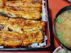 今日のランチは...